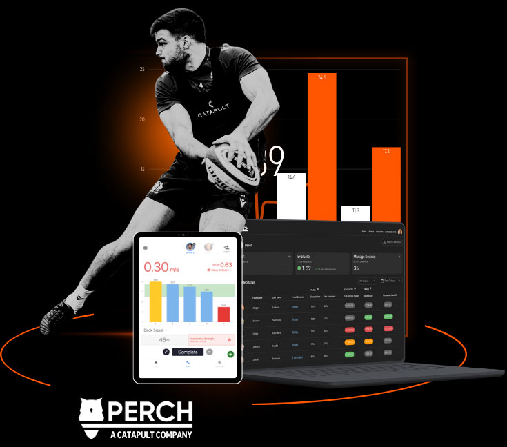 Perch-Image-04